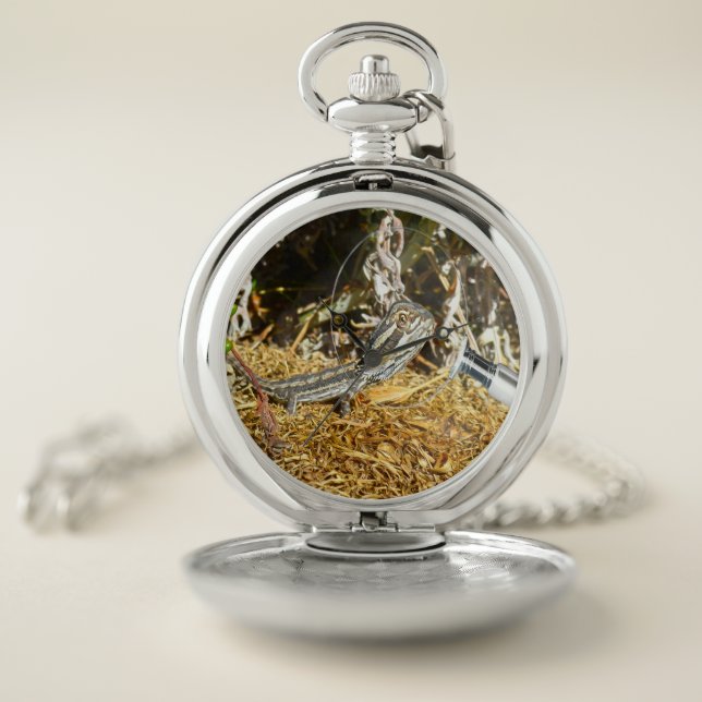 Funny Baby Bearded Dragon, Pocket Watch (Inside)