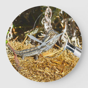 Funny Baby Bearded Dragon, Wall Clock