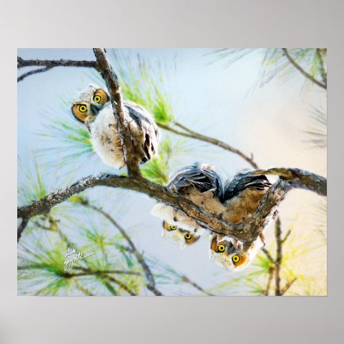 Funny Baby Great Horned Owls Wildlife Fine Art Poster