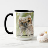 https://rlv.zcache.com/funny_baby_owl_yellow_eyes_looking_at_you_mug-r6f5e6ea468ed4a9280ddcc2b7edf864a_kz9al_166.jpg?rlvnet=1