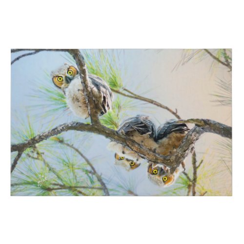 Funny Baby Owls on Limb with Yellow Eyes Fine Art Faux Canvas Print