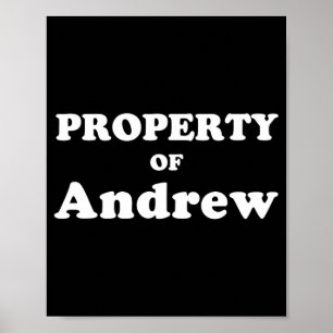 Funny Bachelorette Gifts For Bride Property Of And Poster