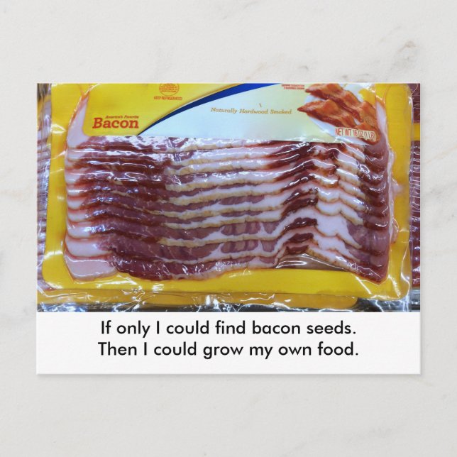 Funny Bacon Food Gardening Postcard.  Postcrossing Postcard (Front)