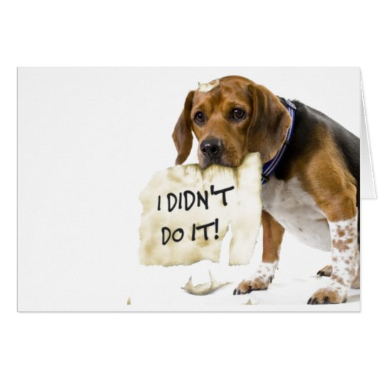 Funny Bad Dog Puppy I Didn't Do It Card (Front Horizontal)