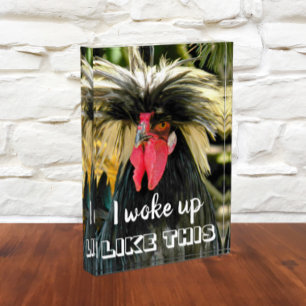 Funny Bad Hair Chicken Meme Photo Block