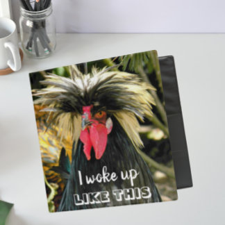 Funny Bad Hair Day Chicken Meme 3 Ring Binder