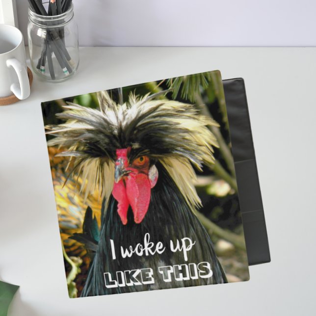 Funny Bad Hair Day Chicken Meme 3 Ring Binder (In Situ Angled)