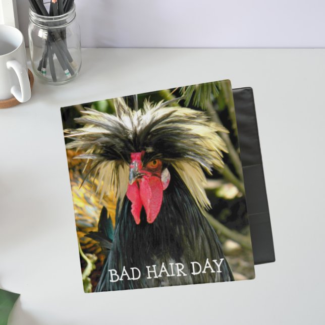 Funny Bad Hair Day Chicken Meme Binder (In Situ Front)