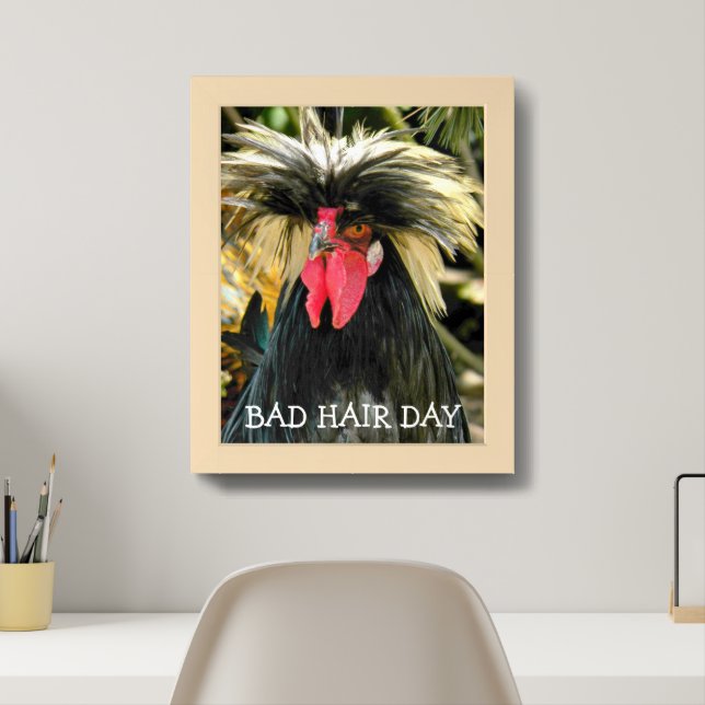 Funny Bad Hair Day Chicken Meme Framed Art (Home Office)