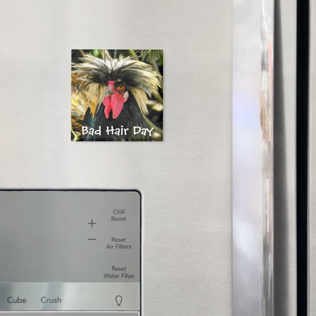 Funny Bad Hair Day Chicken Meme Magnet (In Situ (Fridge))
