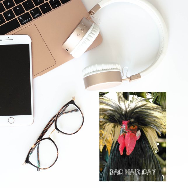 Funny Bad Hair Day Chicken Meme Paperweight (In Situ)