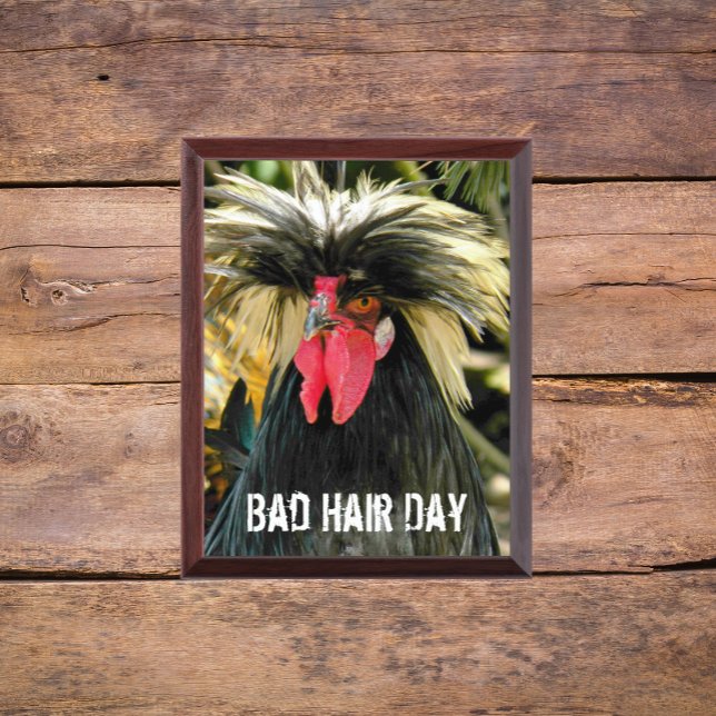 Funny Bad Hair Day Chicken Meme Wood Plaque (In Situ)