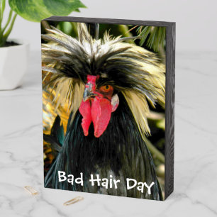 Funny Bad Hair Day Chicken Meme Wooden Box Sign