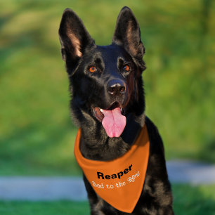 Funny Bad to the Bone Orange Pet Bandana Collar