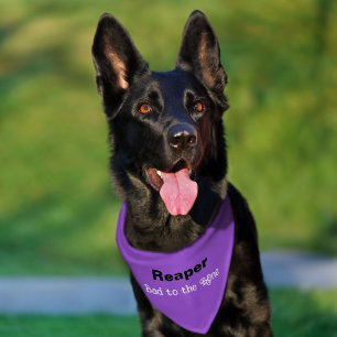 Funny Bad to the Bone Purple Pet Bandana Collar