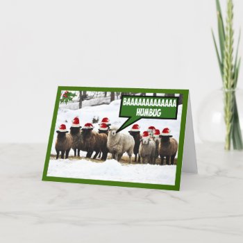 Funny Bah Humbug Holiday Card by Cardsharkkid at Zazzle