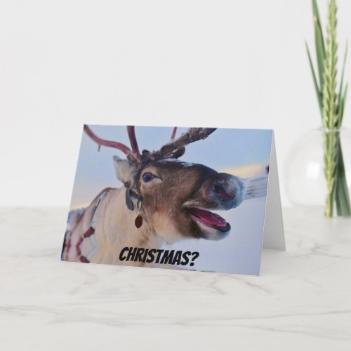 Funny Bah Humbug Reindeer Christmas Card