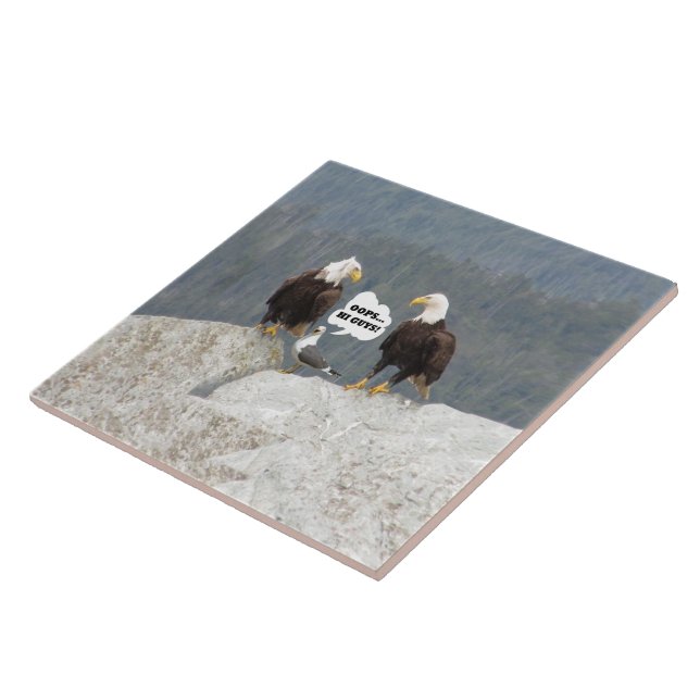 Funny Bald Eagles Seagull Wildlife Humor Kitchen Tile (Side)