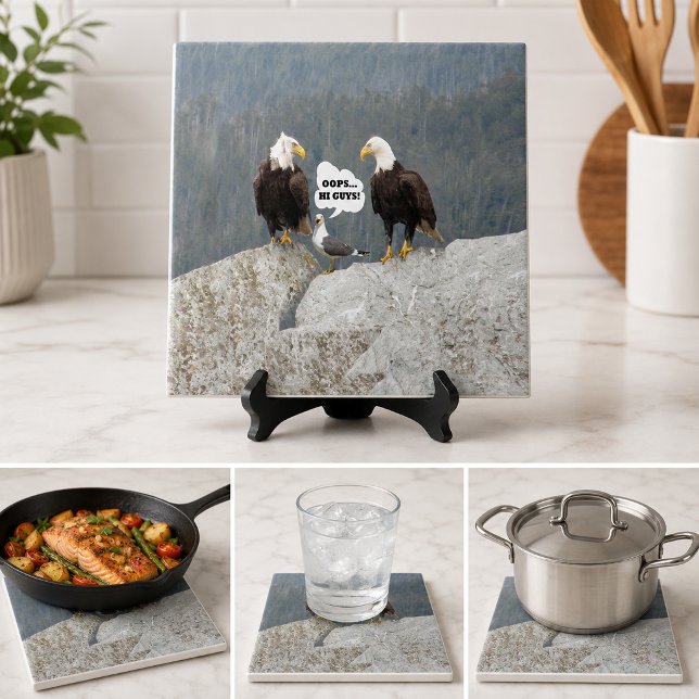 Funny Bald Eagles Seagull Wildlife Humor Kitchen Tile (Funny Bald Eagles Seagull Wildlife Humor Kitchen Tile)