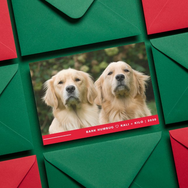 Funny Bark Humbug Dog Photo Christmas Personalized Holiday Card (Creator Uploaded)