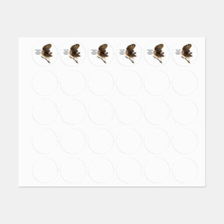 Funny Barn Owl Kids' Labels