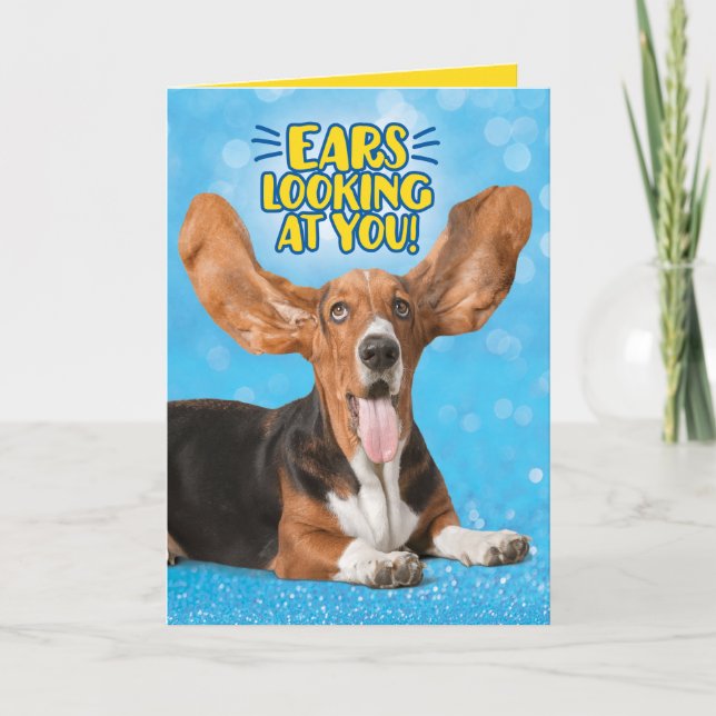 Funny Basset Hound Ears Looking At You Congrats Card (Front)