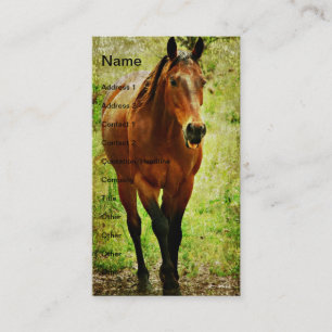 Funny Bay Horse Business Card
