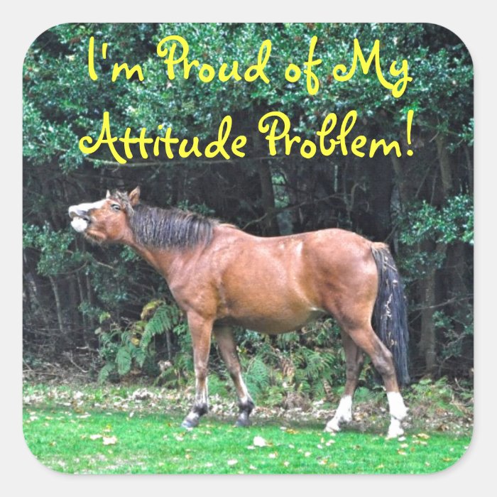 Funny Bay Pony Bad Attitude Horse Photo Square Stickers