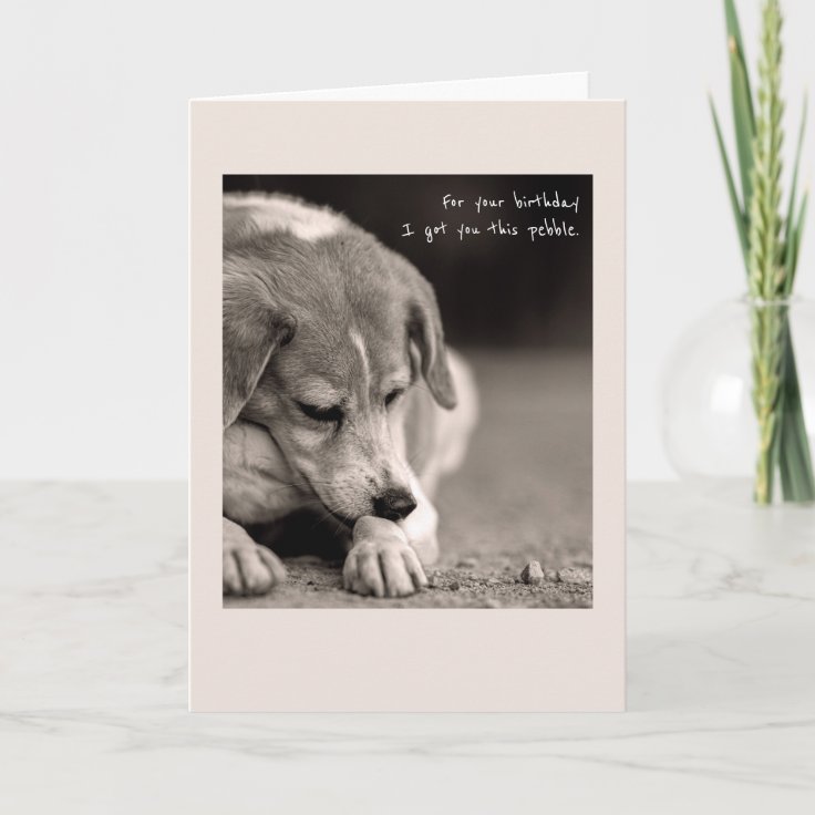 Funny beagle birthday card | Zazzle