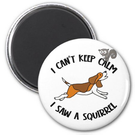 Funny Beagle Dog Chasing Squirrel Magnet