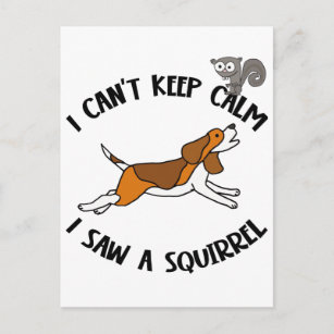 Funny Beagle Dog Chasing Squirrel Postcard