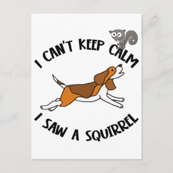 Funny Beagle Dog Chasing Squirrel Postcard by Petspower at Zazzle