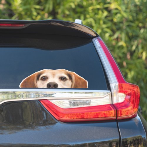 Funny Beagle Dog Half Face Sticker