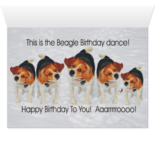 Funny Beagle Ears Flapping Beagle Line Dancing (Inside Horizontal (Bottom))