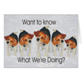Funny Beagle Ears Flapping Beagle Line Dancing (Front Horizontal)