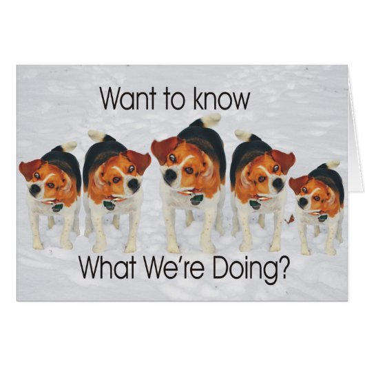 Funny Beagle Ears Flapping Beagle Line Dancing Cards (Front Horizontal)