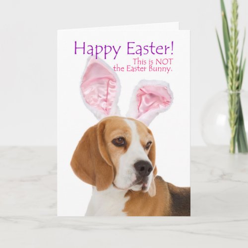 Funny Beagle Easter Card