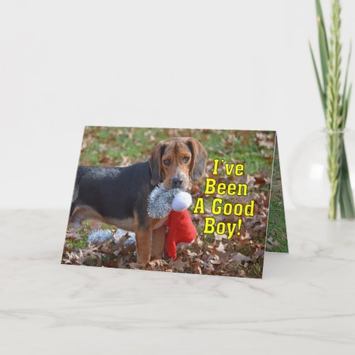 Funny Beagle Ive Been A Good Boy Christmas Holiday Card