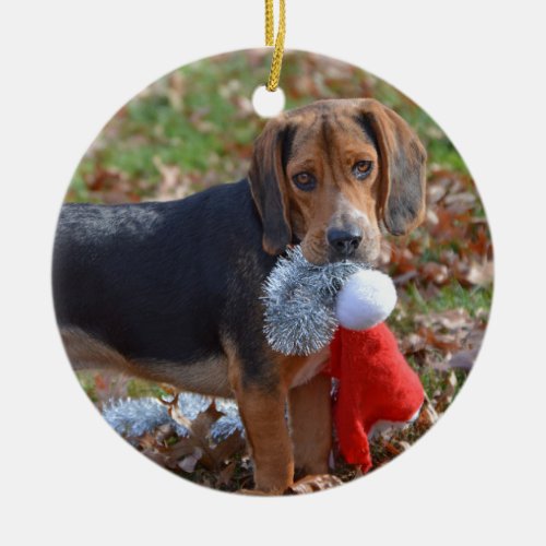 Funny Beagle Pup Took Santas Hat Ceramic Ornament