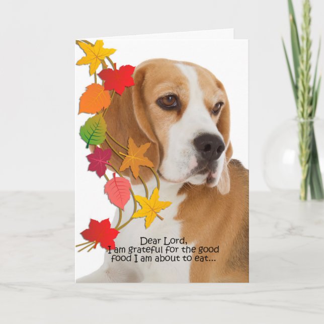 Funny Beagle Thanksgiving Card (Front)