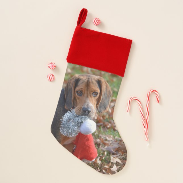 Funny Beagle With Santa Hat Christmas Stocking (Front)