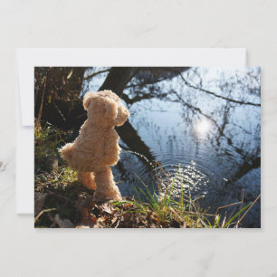 Funny bear being naughty on the potty. holiday card