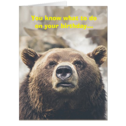 Funny Happy Birthday Greeting Teddy Bear Gifts | Dog Breeds Picture Funny Happy Birthday Greeting Teddy Bear Gifts | Dog Breeds Picture