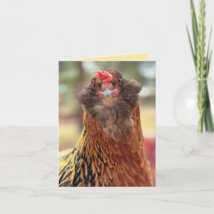 Funny Bearded Chicken Head Close-Up Card