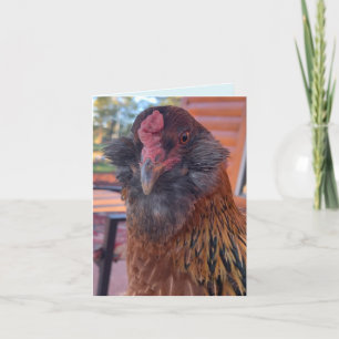 Funny Bearded Chicken Head Close-Up Card