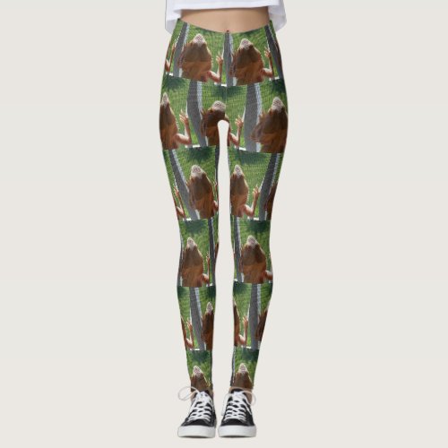 Funny Bearded Dragon Picture All Over Pattern Leggings