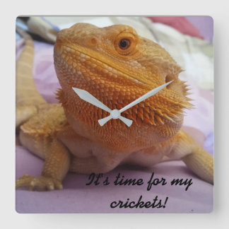 Funny Bearded Dragon Picture Design Square Wall Clock