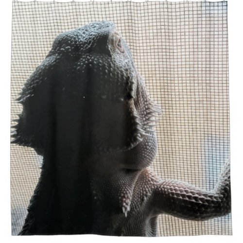 Funny Bearded Dragon Picture Shower Curtain
