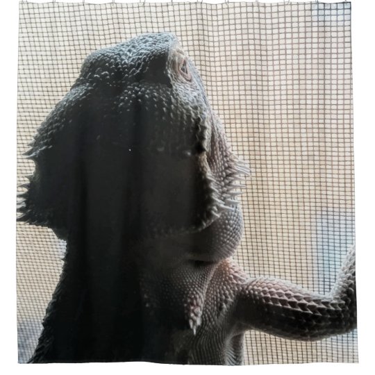 Funny Bearded Dragon Picture Shower Curtain Zazzle Com Funny Bearded Dragon Picture Shower Curtain