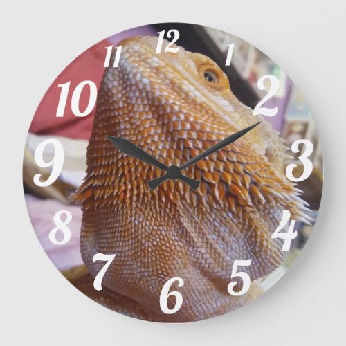 Funny Bearded Dragon Up Close Face Large Clock
